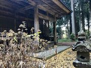 カトQさんの二岡神社の投稿写真1