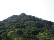 七郎さんの嘉津宇岳展望台の投稿写真1