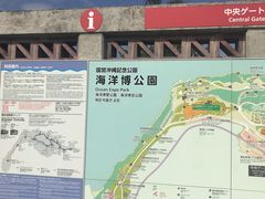 のりさんの海洋博公園への投稿写真1