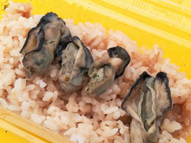 牡蠣飯も追加_カキの阿部 飛龍丸
