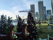 Happyさんのアーバンドック ららぽーと豊洲の投稿写真1