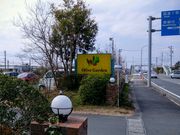 かほさんのオリーブガーデンの投稿写真1