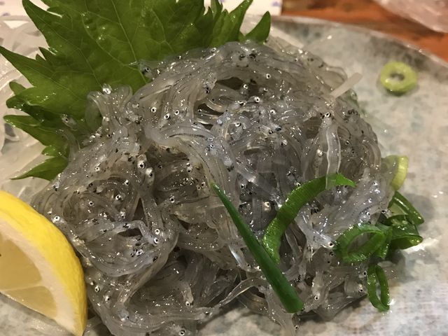 解禁日の生シラス_神沢川