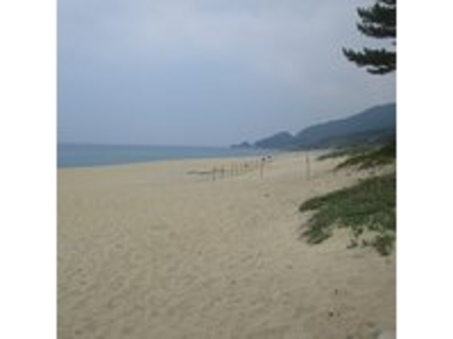 ウミガメの産卵地です_永田・いなか浜