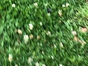 いーづさんの中島公園の投稿写真1