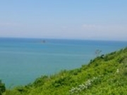 ゆうたさんの野間岬の投稿写真1