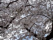 norio1さんの川越水上公園の投稿写真1