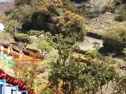 マンゴーさんの田平公園の投稿写真1