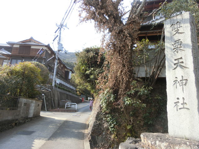 やんまあさんの雙栗天神社の投稿写真1