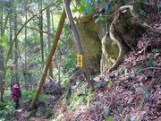 mihiroさんの女滝(山口県阿武町)の投稿写真3