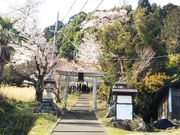 やんまあさんの大宮神社の投稿写真1