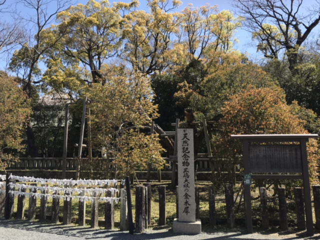 天然記念物_三嶋大社のキンモクセイ