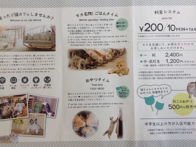 パンフレット_猫カフェ MOCHA 原宿店