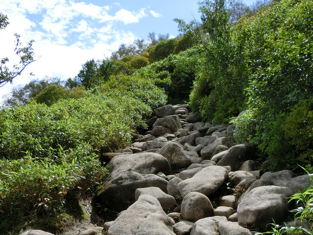 八合目付近の岩肌むき出しの急坂登山道_大雪山(黒岳)