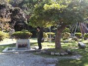 りそなさんの聚感園の投稿写真1