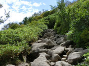 えーちゃんさんの大雪山(黒岳)の投稿写真1