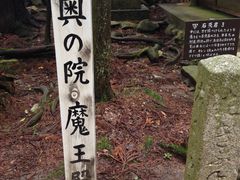 ひつじさんの鞍馬山への投稿写真1