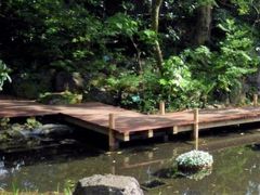 kenkenさんの三島市立公園 楽寿園への投稿写真1