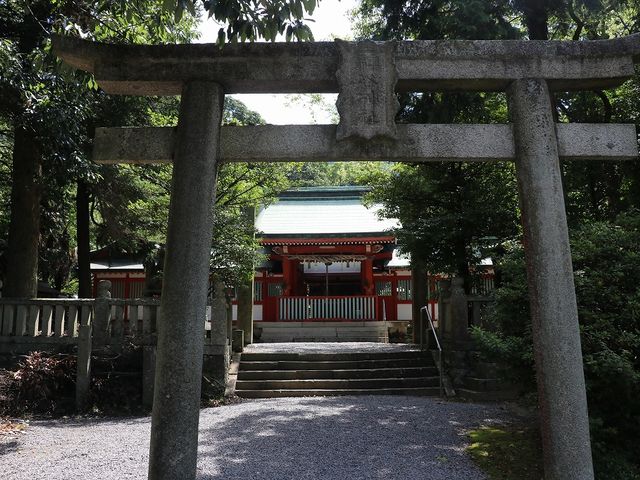 木々に囲まれた社殿。_神谷神社