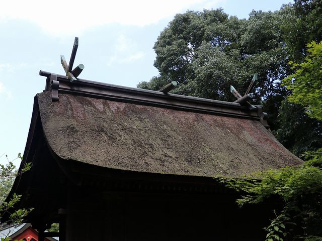 後ろに回って撮りました。_神谷神社