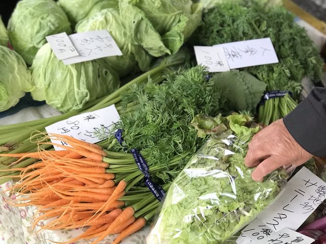 野菜も採れたて新鮮で本当に安いんです。_日曜市