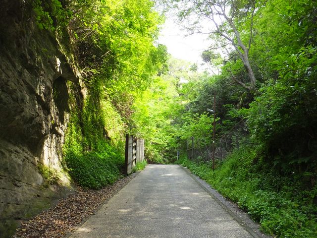 亀ヶ谷坂切通し