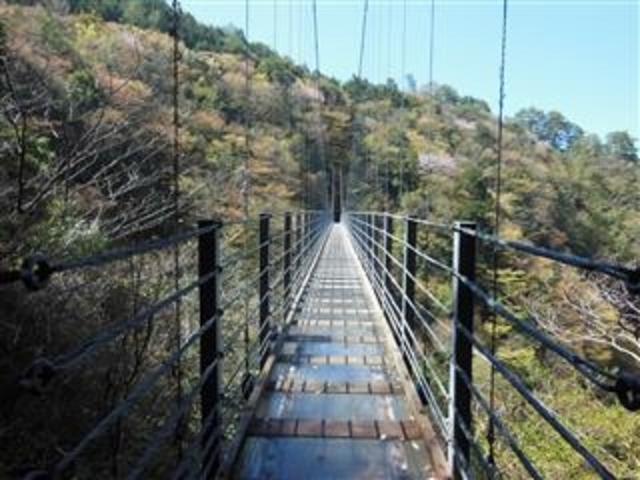 「白龍妃橋 全長アクリル板」_白龍妃橋・王橋(白水の滝)