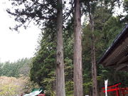 もんさんの志和稲荷神社の投稿写真1