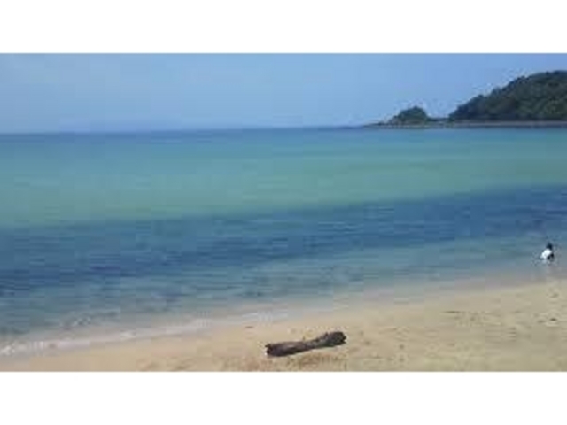 美しい海_青島