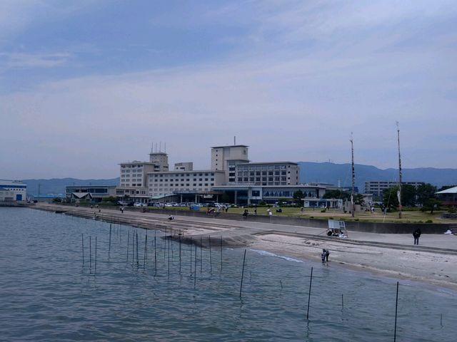 潮干狩り会場の竹島海岸の様子_潮干狩(竹島海岸)