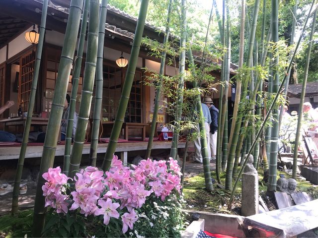 【雀のお宿】竹、そして百合の花が満開_雀のお宿