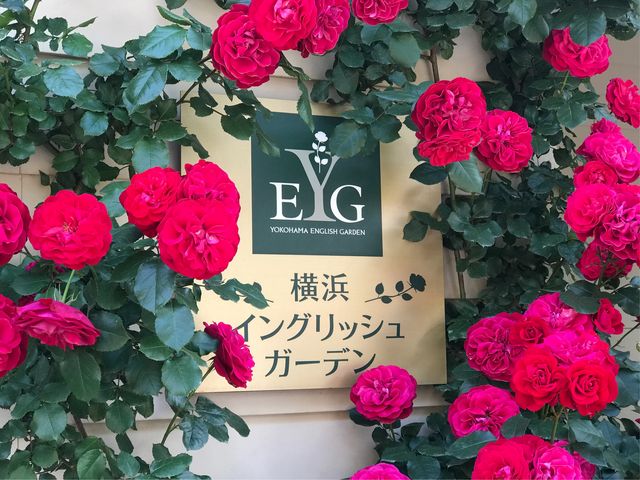 【横浜イングリッシュガーデン】_横浜イングリッシュガーデン