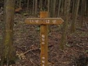 ひげはんさんの伊勢本街道の投稿写真1