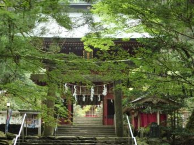 緑が美しいです!_花園神社(茨城県北茨城市)