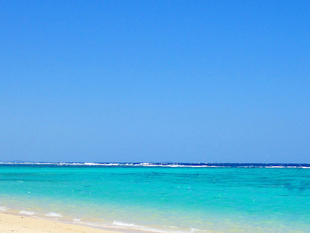 新城海岸_新城海岸