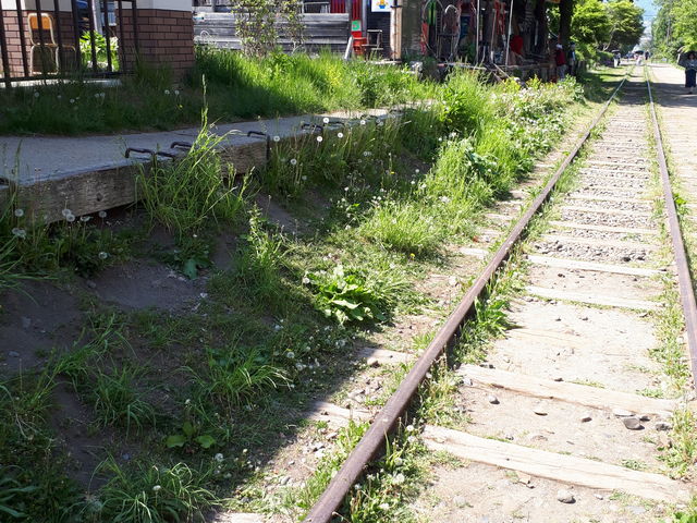線路_旧手宮線