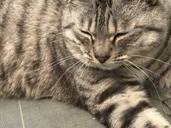 chataさんの夢いちごの郷 半澤いちご農園への投稿写真1