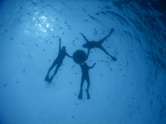 cottonさんのマリンサービスむるぬーしへの投稿写真1