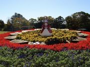 なたりさんの西山公園の投稿写真1