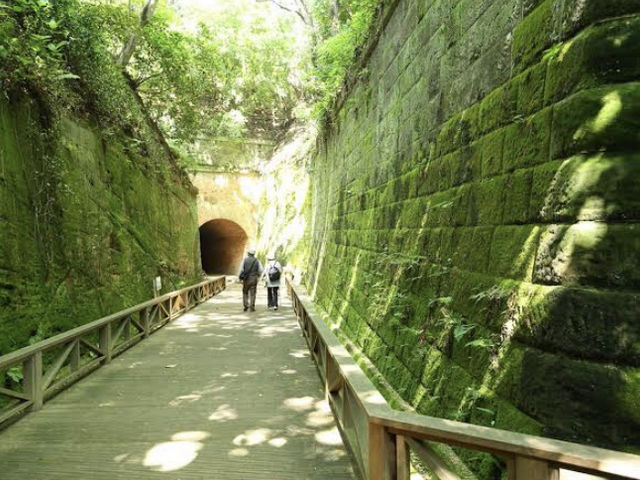 すごいですよね_猿島