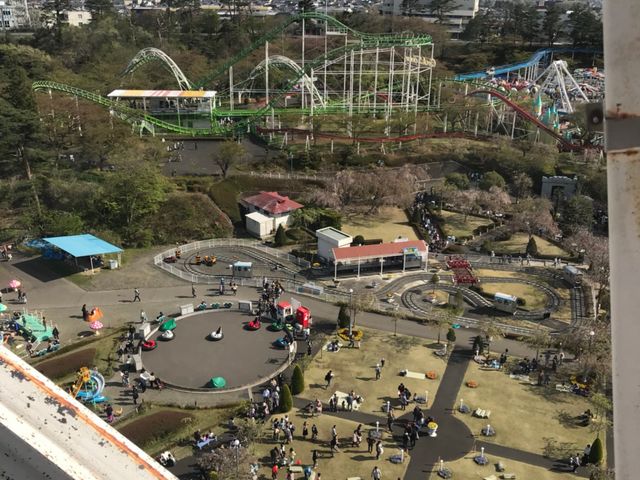 写真_八木山ベニーランド