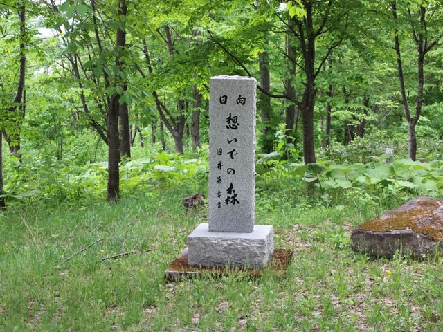 たかちゃんさんの日向森林公園の投稿写真4