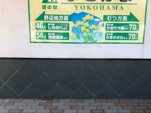 写真_道の駅 よこはま菜の花プラザ