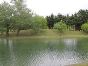 たかちゃんさんのつくも水郷公園の投稿写真3