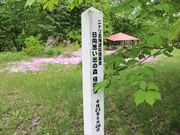 たかちゃんさんの日向森林公園の投稿写真2