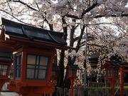 英坊さんの六孫王神社の投稿写真1