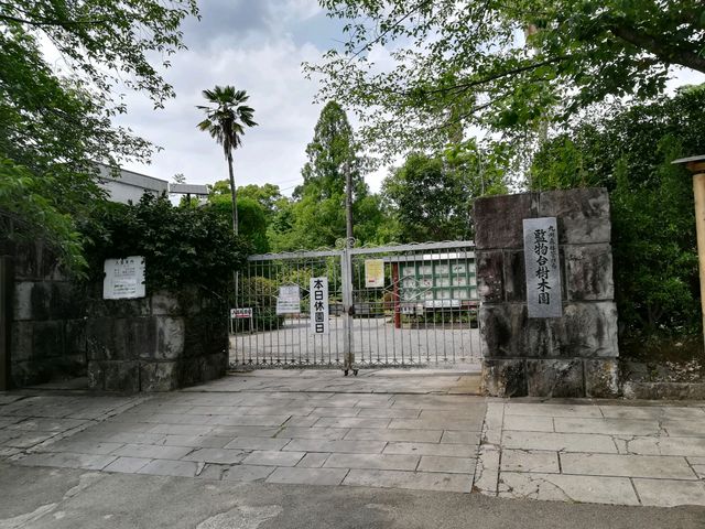 梅雨時は週末のみ_監物台樹木園
