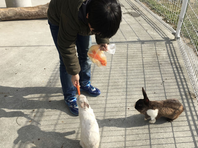 餌やり、100円です_モ〜ランド本吉
