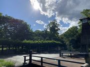 りょさんの清澄公園の投稿写真1