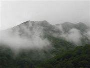 甘辛熊さんの扇沢駅 扇沢売店の投稿写真2